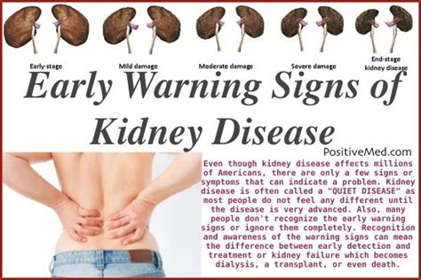 Early Symptoms Of Kidney Failure Urine