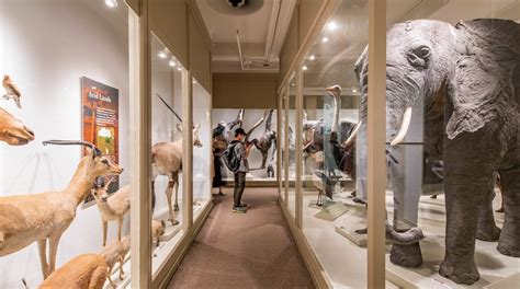 Harvard Museum of Natural History Tours - Book Now | Expedia