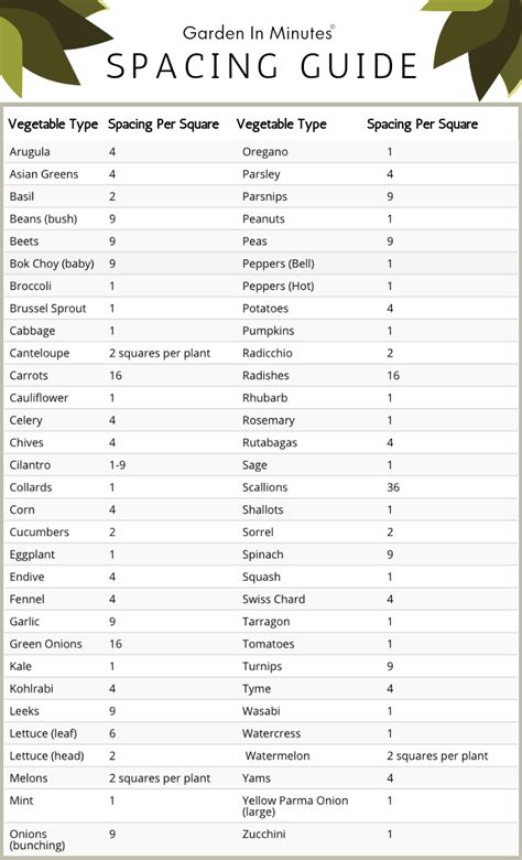 Plant Spacing Guide For Gardens