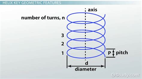 Helix Angle: Definition, Formula & Calculation - Video & Lesson ...