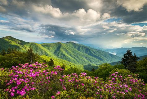 North Carolina Photograph - Asheville Nc Blue Ridge Parkway Spring ...