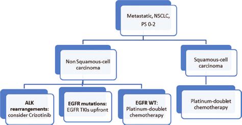 Treatment algorithm in first-line metastatic non-small-cell lung cancer ...