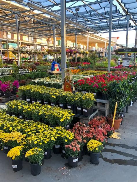 List Of Home Depot Garden Center Flowers References