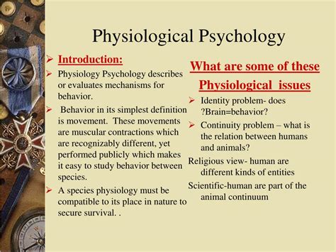 PPT - Physiological Psychology PowerPoint Presentation, free download ...