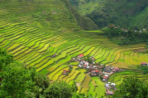 A Travel Guide to Banaue Rice Terraces, Philippines - Fravel