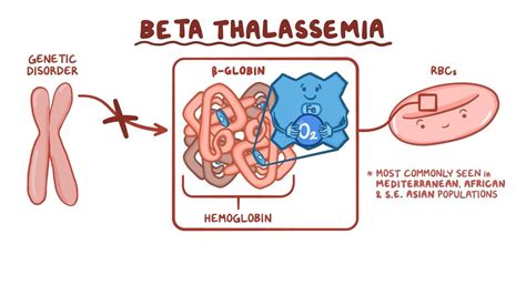 Beta-thalassemia: Video, Anatomy, Definition & Function | Osmosis