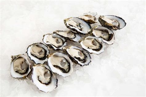 Pacific Oysters Large Delivery | Manettas Seafood