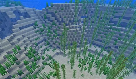 5 best ocean biomes in Minecraft