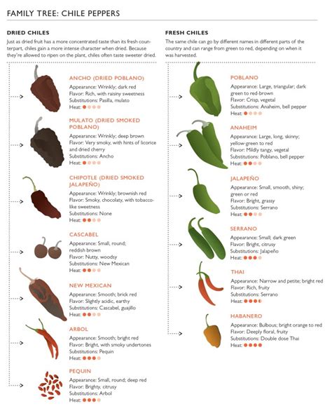 All You Need To Know About Dried Chiles - Food Republic