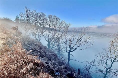 Five magical Yorkshire winter wonderland walks in real forests