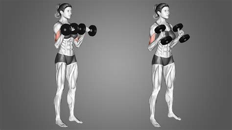 Reverse Curls vs Hammer Curls: Which is Best for the Biceps? - Inspire US