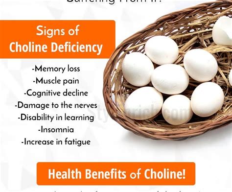 Welcome to Gabriel Atanbiyi Blog: Choline Deficiency – How To Know If ...