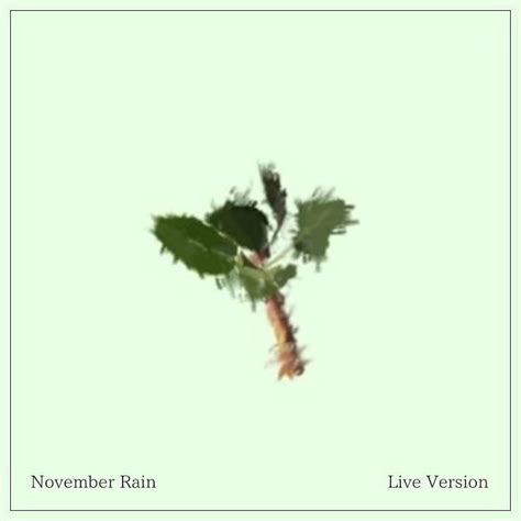 November Rain - Live Version out now on Soundcloud!! | Indie Music Plus ...