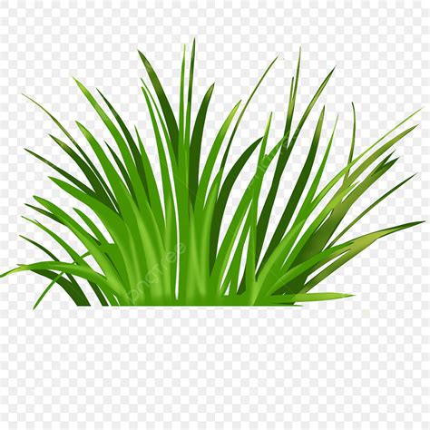 Grasses Clipart PNG Images, Grass, Vegetation, Plant PNG Image For Free ...