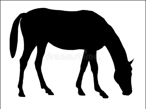 Grazing Horse Clipart Easy