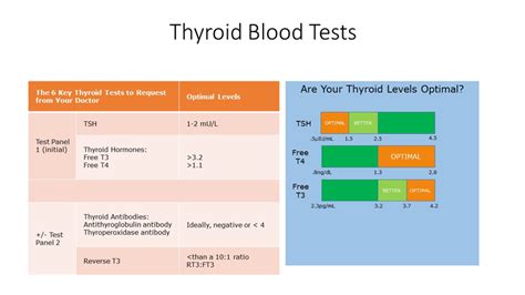 TSH w/Reflex to FT4 Testing for Thyroid Function | Excel Male TRT Forum