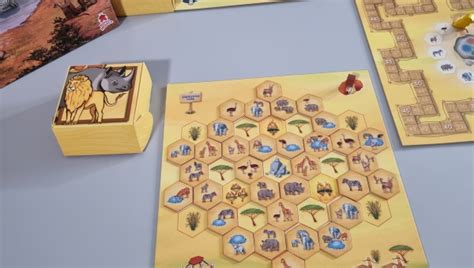 Super Meeple – Fiche Jeu Savannah Park