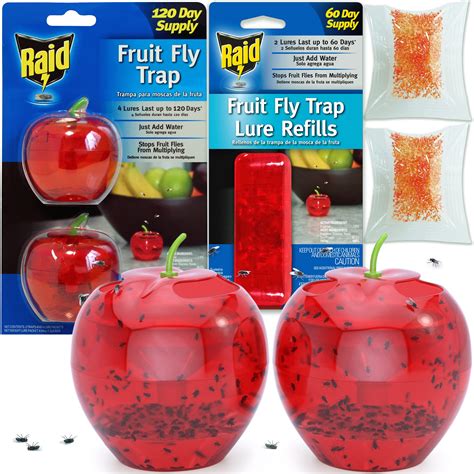 Raid Fruit Fly Trap Instructions | ubicaciondepersonas.cdmx.gob.mx