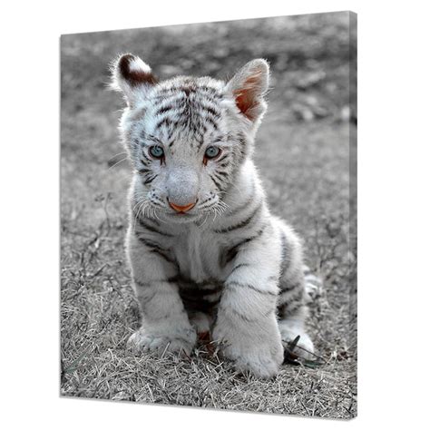 Beautiful White Tiger Baby Cub Animal Modern Design Home Decor | Etsy