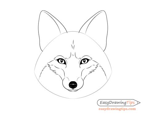 How to Draw a Fox Step by Step - EasyDrawingTips