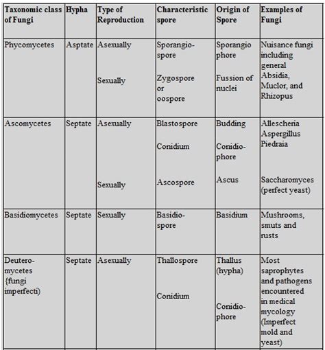 Kingdom Fungi Classification Chart