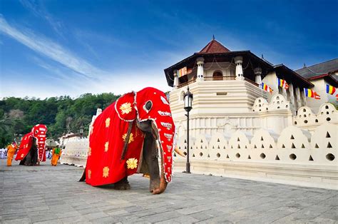 Grand Serendib Hotel | Kandy - Sri Lanka