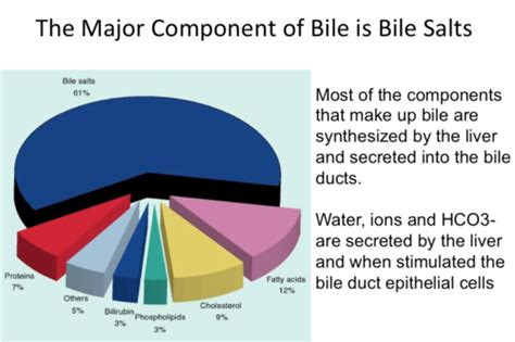 Physio- Bile Flashcards | Quizlet