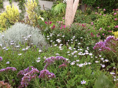 The Indigenous Fynbos Garden – Leaf Landscape Studio