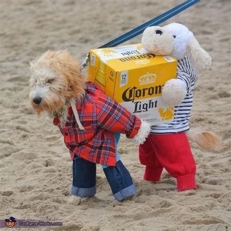 9 Dogs Who Have Better Halloween Costumes Than Their Owners | Cute dog ...