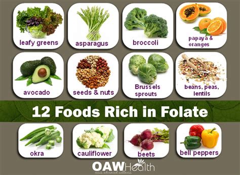 12 Foods Rich in Folate