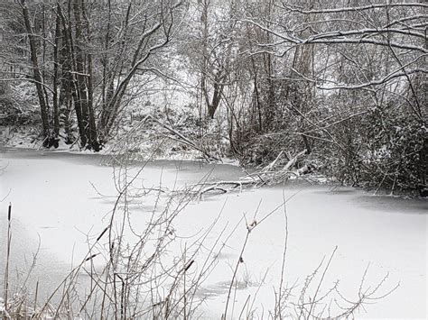 Winter mood in the Black Forest (2) by blackforeststeve on DeviantArt