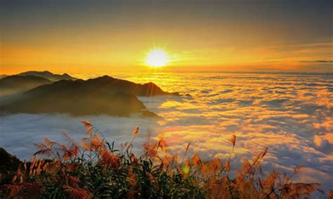 Alishan-National-Forest-Sunrise-Sunset-Train » Longguan Tours