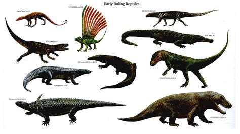 Early Ruling Reptiles | Prehistoric animals, Reptiles, Prehistoric ...