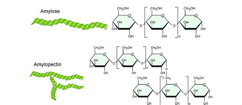 Chemical formula of starch. | Download Scientific Diagram