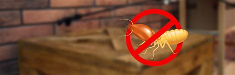 No Tent Termite Treatment, Tentless Termite Control | Trinity Pest ...