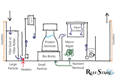 How to Design a Reef Tank Sump