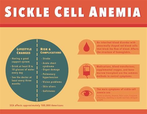 Sickle Cell Anemia Symptoms Treatment Causes And Inheritance | Porn Sex ...