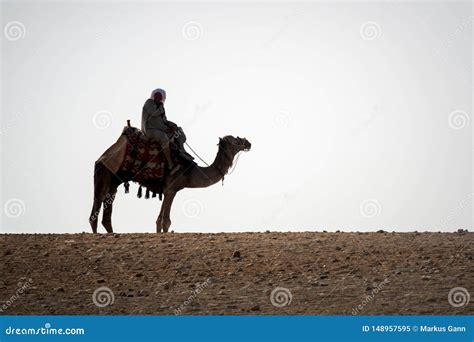 Camel Ride in the Desert Cairo Egypt Editorial Image - Image of outdoor ...