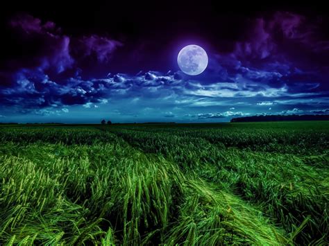 Night Landscape 4k Wallpapers - Wallpaper Cave