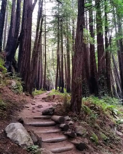 The Most Spectacular Big Sur Hiking Trails Reviewed