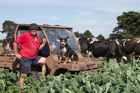 "Farmer With Working Dog" by Stocksy Contributor "Rowena Naylor" - Stocksy