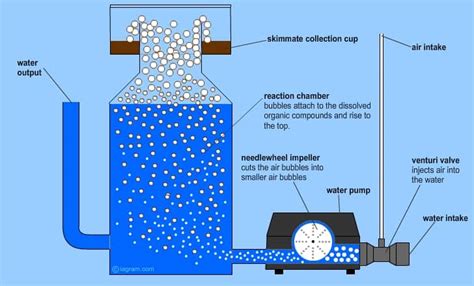 How Does A Protein Skimmer Work???