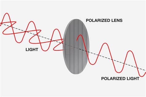 Polarized Light Sunglasses