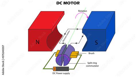 DC Electric motor diagram with labeled parts Stock Vector | Adobe Stock