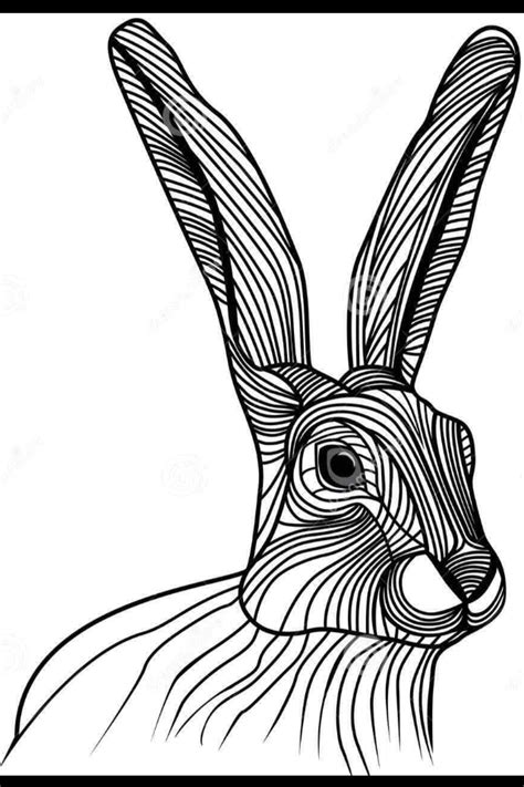 Hare Line Drawing at GetDrawings | Free download