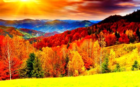 Colorful Nature Desktop Backgrounds