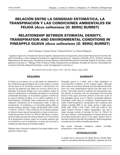 (PDF) RELATIONSHIP BETWEEN STOMATAL DENSITY, TRANSPIRATION AND ...