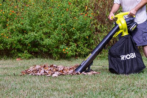 Cordless Leaf Vacuums: What They Are and How to Choose - Vdio Magazine 2024