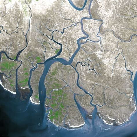 Indus River Delta - Alchetron, The Free Social Encyclopedia