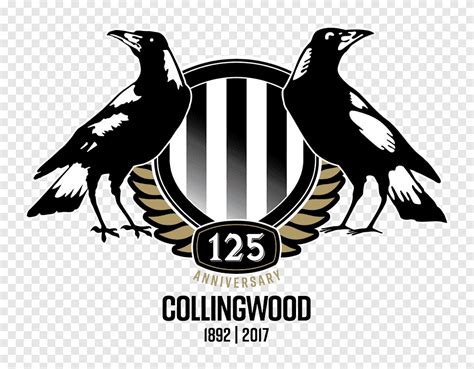 موسم 2018 Collingwood Football Club موسم Westpac Center 2017 AFL موسم ...